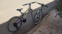 velos-vtt-26-arianespr-reghaia-alger-algerie