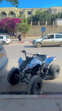 Quad 250 250 2021