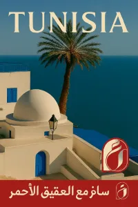 Tunisie  par avion