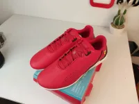 Puma ferrari
