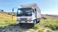 شاحنة-isuzu-ftr-2014-مستغانم-الجزائر