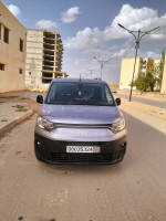 automobiles-fiat-إطالي-2024-ain-oussara-djelfa-algerie