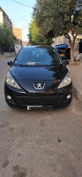 voitures-peugeot-207-2011-active-algerie