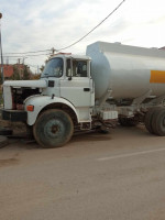 camion-renault-glr-190-ouled-moussa-boumerdes-algerie