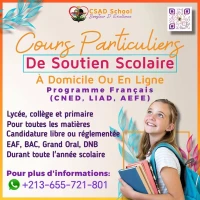 Cours Particuliers De Soutien Scolaire À Domicile Ou En Ligne Programme Français(CNED, LIAD, AEFE) 