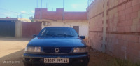 grande-berline-volkswagen-passat-1995-tiberkanine-ain-defla-algerie