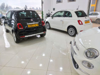 voitures-fiat-500-2024-club-larbaa-blida-algerie