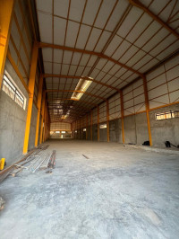 hangar-location-blida-beni-tamou-algerie