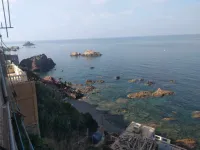 Vente Appartement Tipaza Tipaza