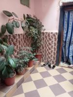 appartement-vente-f4-ain-defla-miliana-algerie