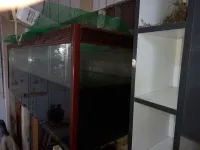 Aquarium 