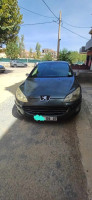 voitures-peugeot-407-2009-biskra-algerie