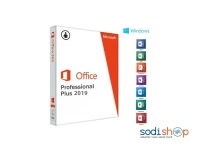 LICENCE OFFICE 2019 PROFFESSIONNEL PETIT MODEL--COFFRET
