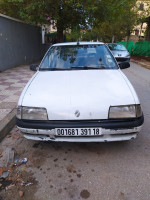 voitures-renault-19-1991-chekfa-jijel-algerie