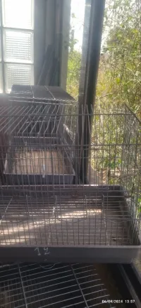 Cages de couplage a vendre 