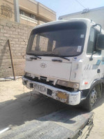 camion-hyundai-hd-120-2011-el-oued-algerie