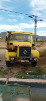 camion-jlr-renault-1985-bekkaria-tebessa-algerie