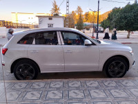 voitures-audi-q5-2013-s-line-ain-defla-algerie