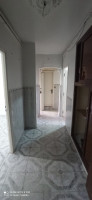 appartement-location-f3-alger-bab-ezzouar-algerie