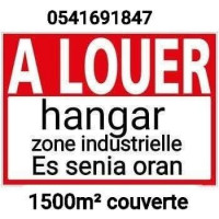 hangar-location-oran-es-senia-algerie