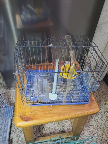 Cages couplage + transport