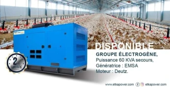 GROUPE ELECTROGENE 60 KVA DEUTZ / EMSA TD
