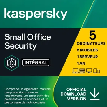 Kaspersky 2 ans officiel entreprises