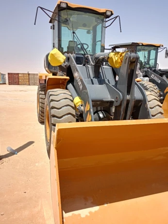 Xcmg Lw 300 2023