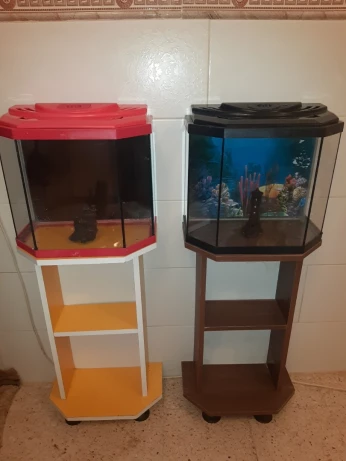 Aquarium avec meuble d'origine 40 litres