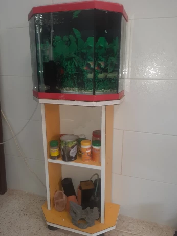 Aquarium avec meuble 35 litres vide