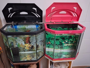 Aquarium 30 litres avec table d'origine 40cm