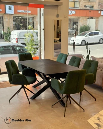 TABLE EXTENSIBLE avec 8 chaises