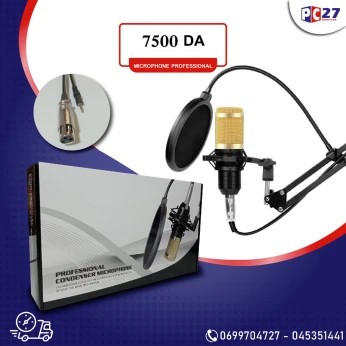 MICROPHONE PROFESSIONAL / la fiche jack + support + filtr