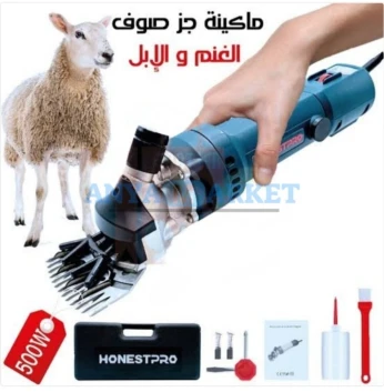 باب الزوار