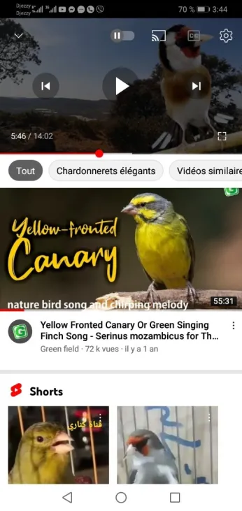 Serin de la et chanteur d'Afrique