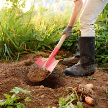 jardinage &désherbage et nettoyage des espaces verts