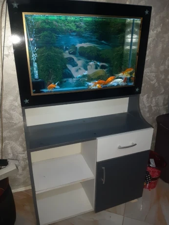 Aquarium plasma avec meuble 80cm