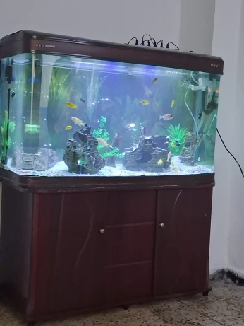 Aquariums d'importation avec meuble d'origine