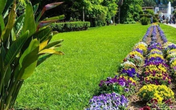 Béton imprimé et espace vert gazon naturel