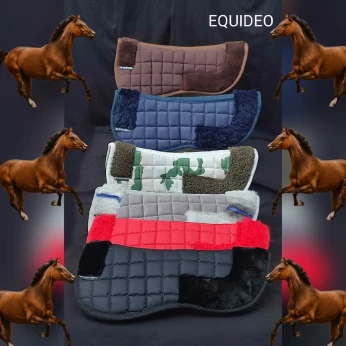 Amortisseur cheval امورتسور للخيل