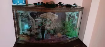 Aquarium