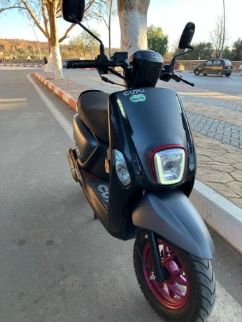Vms Cuxi 2 2024