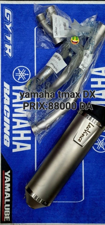 ÉCHAPPEMENT AKRAPOVIC