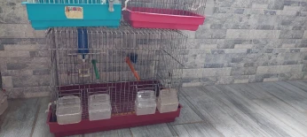 Cage pour oiseaux أقفاص العصافير