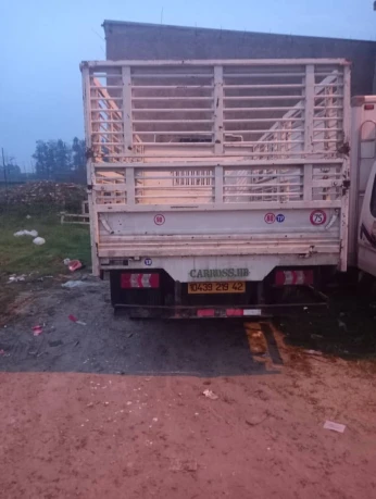 Shac man 7tl plato 2019