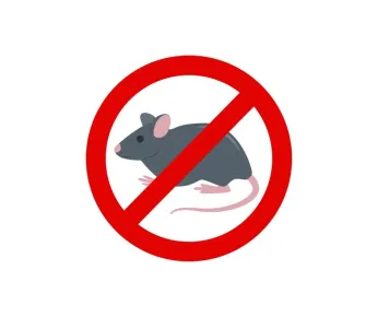 Dératisation anti souris et rats