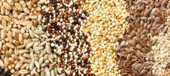 BIO : divers produits. عضوي: منتوجات عضوية متعددة