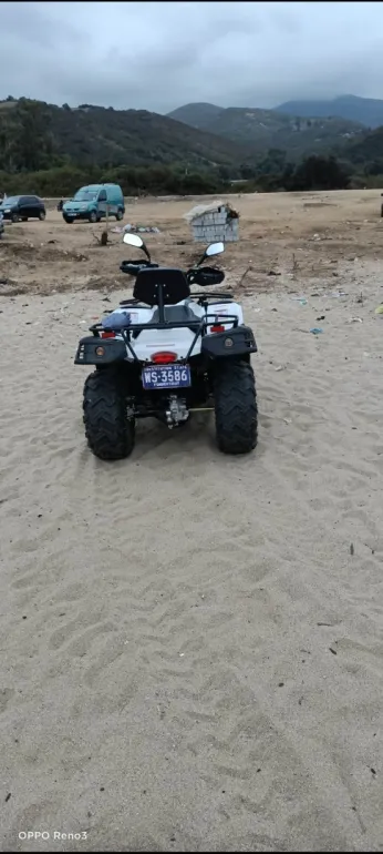 Vms Vms Linhai Quad 300 2022 2022