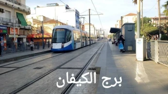 Vente Terrain Alger Bordj el kiffan