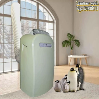 Climatiseur mobile blyss 12000 btu venue de France
